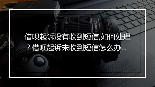 借呗起诉没有收到短信,如何处理?借呗起诉未收到短信怎么办?
