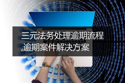 三元法务处理逾期流程,逾期案件解决方案