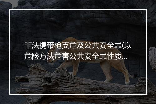 非法携带枪支危及公共安全罪(以危险方法危害公共安全罪性质)