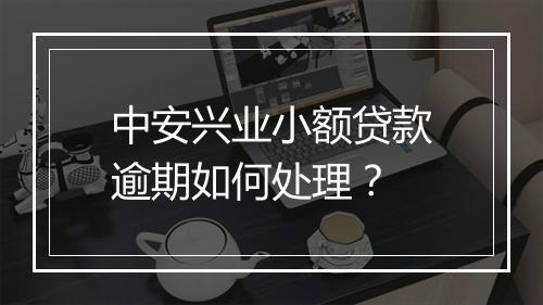 中安兴业小额贷款逾期如何处理?