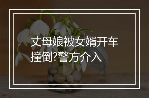 丈母娘被女婿开车撞倒?警方介入