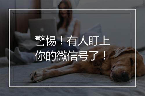 警惕!有人盯上你的微信号了!