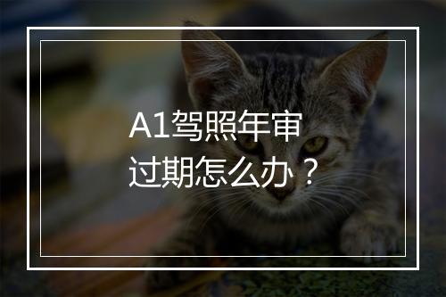 A1驾照年审过期怎么办?