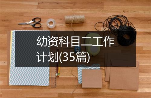 幼资科目二工作计划(35篇)