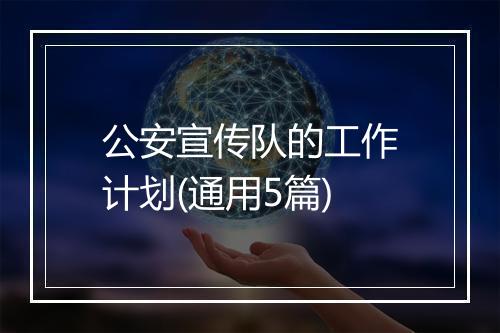公安宣传队的工作计划(通用5篇)