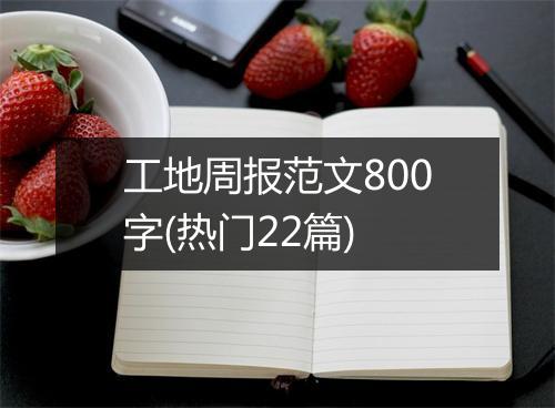 工地周报范文800字(热门22篇)