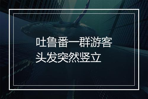 吐鲁番一群游客头发突然竖立