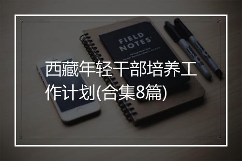 西藏年轻干部培养工作计划(合集8篇)