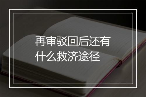 再审驳回后还有什么救济途径