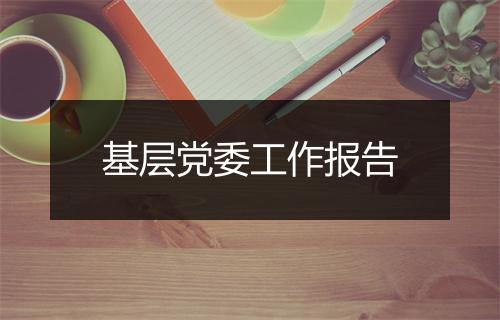 基层党委工作报告