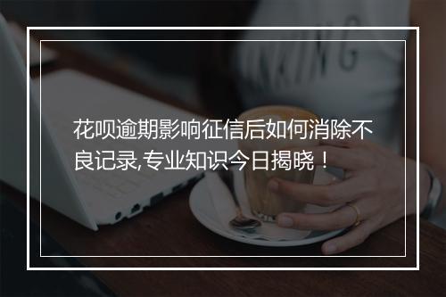 花呗逾期影响征信后如何消除不良记录,专业知识今日揭晓!