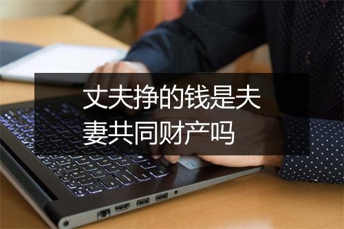 丈夫挣的钱是夫妻共同财产吗