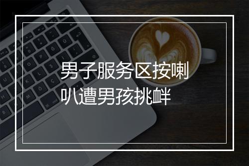 男子服务区按喇叭遭男孩挑衅