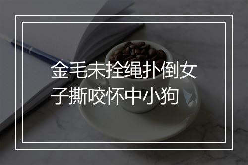 金毛未拴绳扑倒女子撕咬怀中小狗