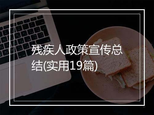残疾人政策宣传总结(实用19篇)