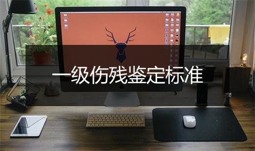 一级伤残鉴定标准