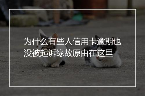 为什么有些人信用卡逾期也没被起诉缘故原由在这里