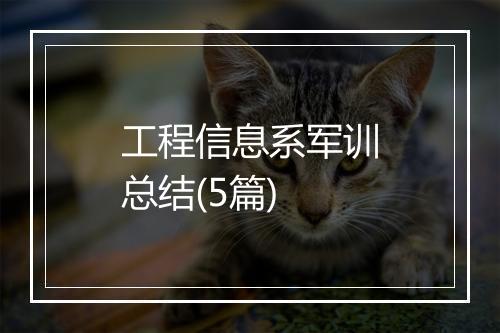 工程信息系军训总结(5篇)