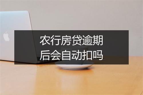 农行房贷逾期后会自动扣吗
