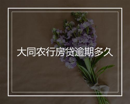 大同农行房贷逾期多久