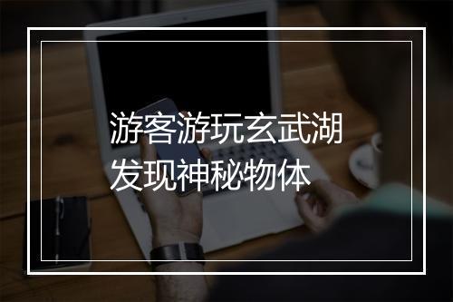 游客游玩玄武湖发现神秘物体