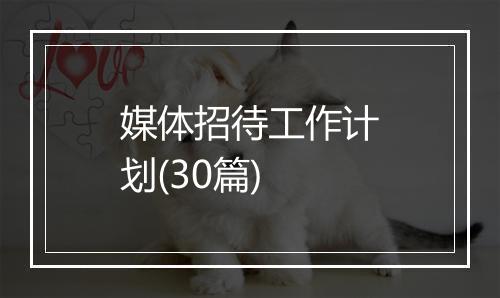 媒体招待工作计划(30篇)