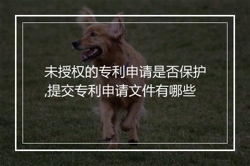 未授权的专利申请是否保护,提交专利申请文件有哪些
