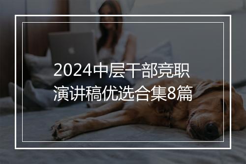 2024中层干部竞职演讲稿优选合集8篇
