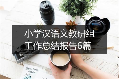 小学汉语文教研组工作总结报告6篇