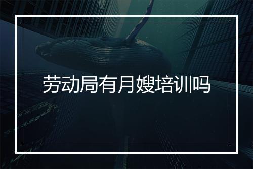 劳动局有月嫂培训吗