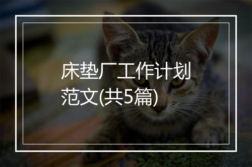 床垫厂工作计划范文(共5篇)