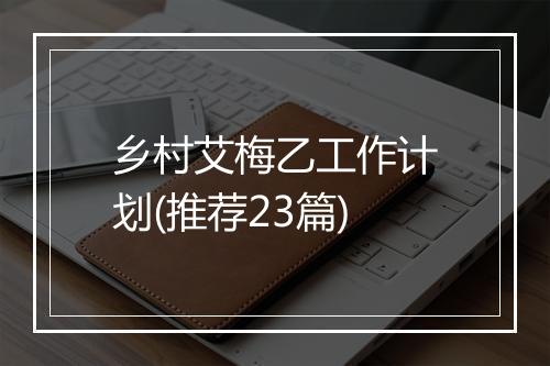 乡村艾梅乙工作计划(推荐23篇)