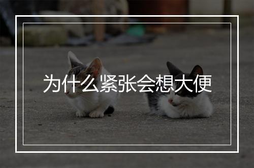 为什么紧张会想大便