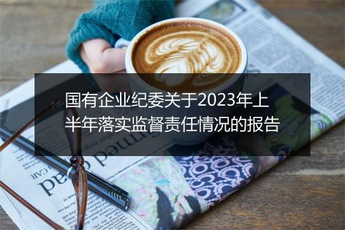 国有企业纪委关于2023年上半年落实监督责任情况的报告