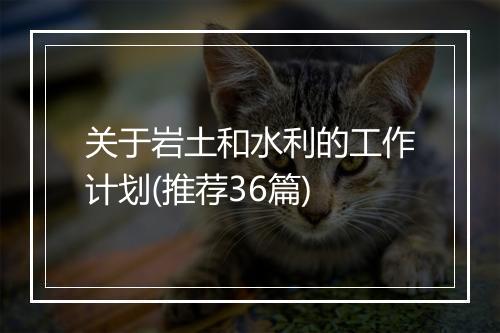 关于岩土和水利的工作计划(推荐36篇)