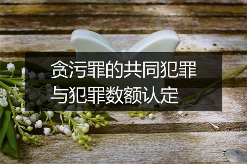 贪污罪的共同犯罪与犯罪数额认定