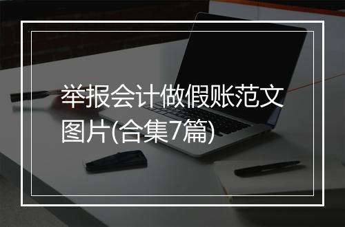 举报会计做假账范文图片(合集7篇)