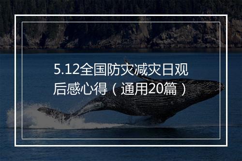 5.12全国防灾减灾日观后感心得(通用20篇)