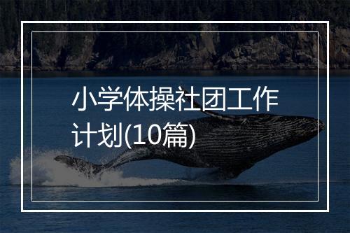 小学体操社团工作计划(10篇)