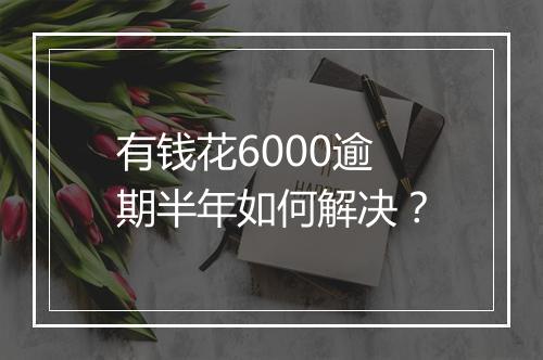 有钱花6000逾期半年如何解决?