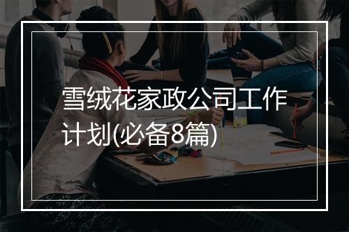雪绒花家政公司工作计划(必备8篇)