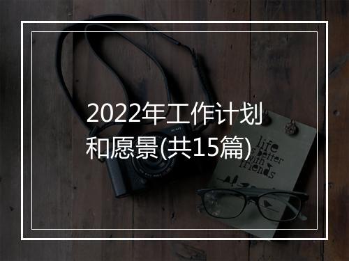 2022年工作计划和愿景(共15篇)