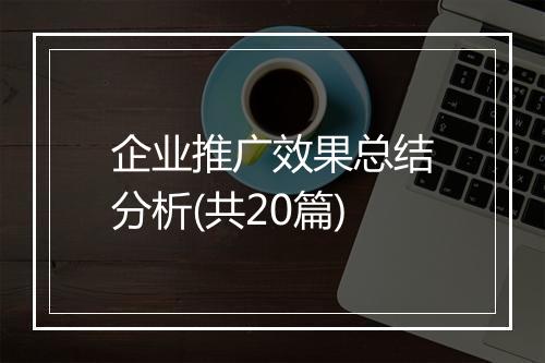 企业推广效果总结分析(共20篇)