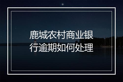 鹿城农村商业银行逾期如何处理
