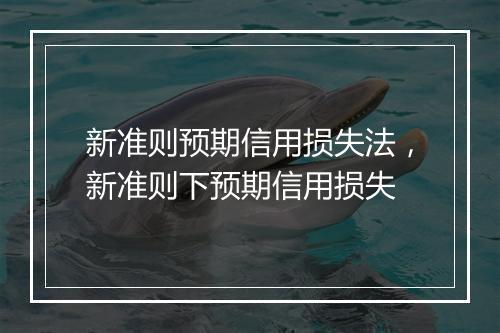 新准则预期信用损失法,新准则下预期信用损失
