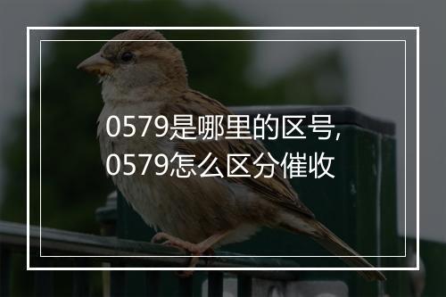 0579是哪里的区号,0579怎么区分催收
