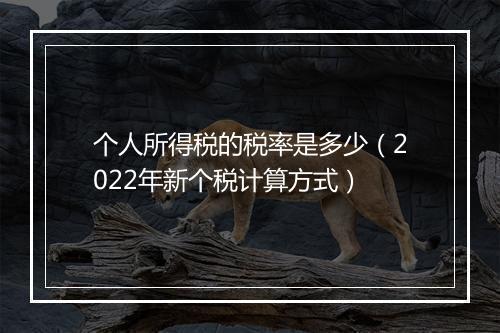 个人所得税的税率是多少(2022年新个税计算方式)