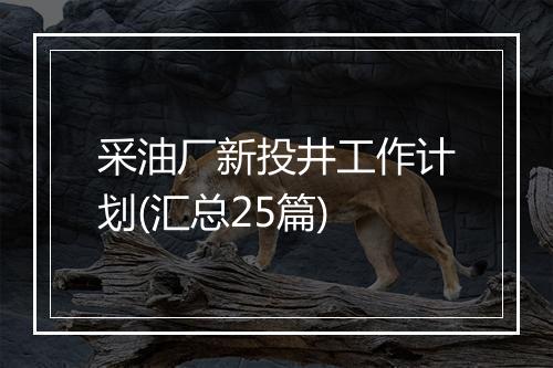 采油厂新投井工作计划(汇总25篇)