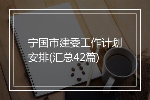 宁国市建委工作计划安排(汇总42篇)