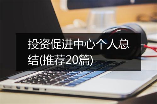 投资促进中心个人总结(推荐20篇)